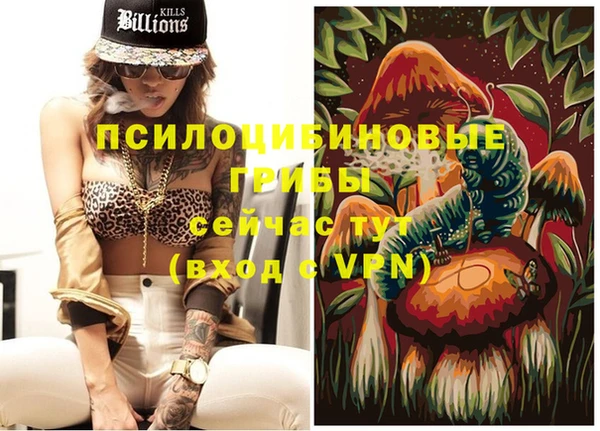 бошки Баксан