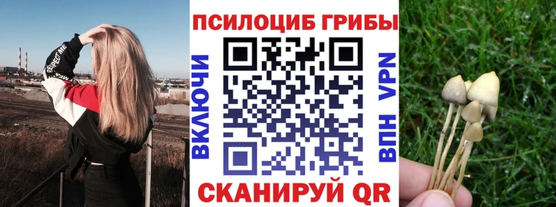 Псилоцибиновые грибы MAGIC MUSHROOMS  Чаплыгин 